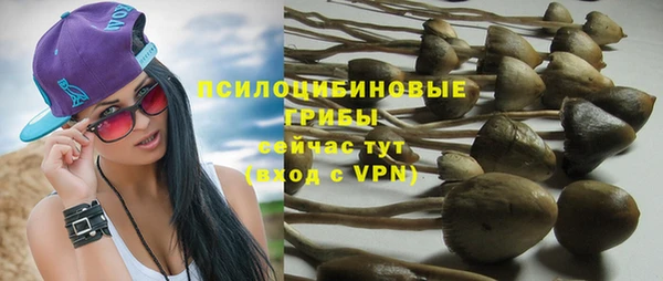 тгк Пролетарск