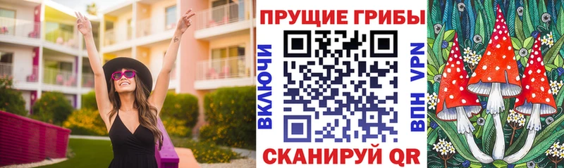 МЕГА рабочий сайт  купить закладку  Сорочинск  Псилоцибиновые грибы Cubensis 