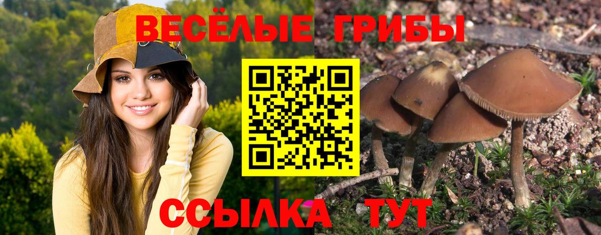 Псилоцибиновые грибы MAGIC MUSHROOMS Сорочинск