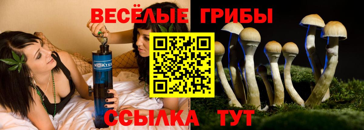 Галлюциногенные грибы GOLDEN TEACHER  Вход с VPN  Сорочинск  магазин    Псилоцибиновые грибы Magic Shrooms 
